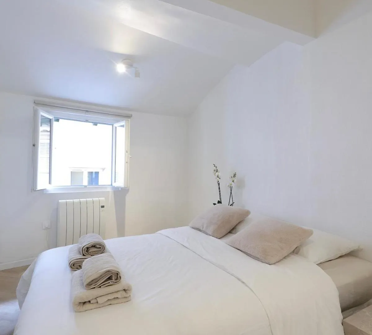 Superbe Appartement & Proche Mer 尼斯 公寓